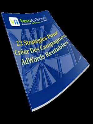 cover image of 22 Stratégies Pour Créer Des Campagnes AdWords Rentables